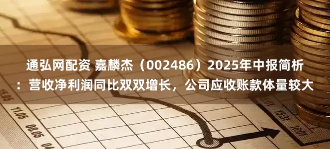 通弘网配资 嘉麟杰（002486）2025年中报简析：营收净利润同比双双增长，公司应收账款体量较大